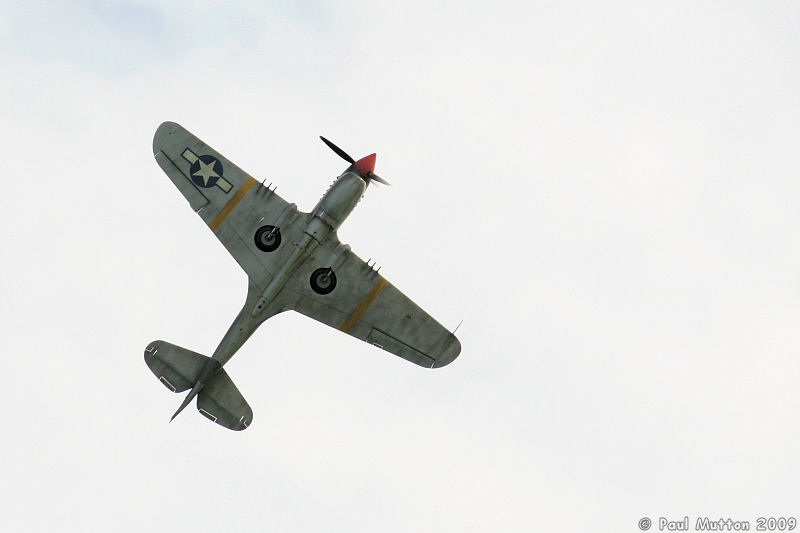  A8V7582 Curtis P-40 Kittyhawk underside